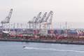 Initiatives being launched at LA-LB seek to reduce container dwell times while also enhancing driver productivity. Photo credit: Shutterstock.com.