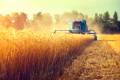The diversification of overseas markets has sheltered the US ag sector from declining exports to China the past two years. Photo credit: Shutterstock.com.