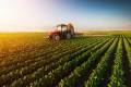 The combination of a strengthening dollar and the possible collapse of economies overseas due to COVID-19 could reduce demand for US exports. Photo credit: Shutterstock.com.