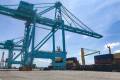 Terminal operator SSA Marine will expand its current facility at the Port of Jacksonville’s Blount Island from 50 acres to 93 acres. Photo credit: Ari Ashe/JOC.