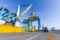 Once the final eight cranes are installed, each of Norfolk International Terminals' 30 stacks will have two semi-automated gantry cranes. Photo credit: Virginia Port Authority.