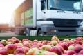 Twenty-two percent of US ag exports that could be shipped, are not being shipped due to container shipping restraints, according to AgTC. Photo Credit: Shutterstock.com