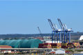 The Saint John Port Authority, CP, and terminal operator DP World have been trying to attract both a trans-Atlantic and an Asian service via the Suez Canal or even niche north-south service. Photo credit: Shutterstock.com.