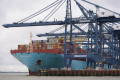 Forwarders are facing severe disruption to their supply chains amid mounting congestion at the UK's busiest port of Felixstowe. Photo credit: Shutterstock.com.