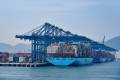 By sheer numbers, the partial closure of YICT, a single terminal that handles roughly 13 million TEU annually, is having a greater impact than the Suez blockage, according to analyst Lars Jensen of Vespucci Maritime. Photo credit: Shutterstock.com.