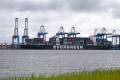 South Carolina Ports became Portchain’s first North American customer in mid-2021, using the software to plan berthing at its three Port of Charleston terminals. Photo credit: Shutterstock.com.