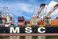 DCSA CEO Thomas Bagge said that other members of the container line consortium to develop standards for the shipping industry “are in the process of adopting the codes.” Photo credit: Shutterstock.com.