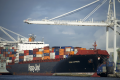 US imports from Asia increased 13.4 percent in August from August 2019, and 16.5 percent from mainland China, leaving equipment in short supply. Photo credit: Shutterstock.com.