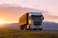 There is no official information on the trucker dispute, but sources on the ground in China confirmed that drivers had suspended work in various provinces, such as Anhui, Jiangxi, Chongqing, Shaanxi, and Zhijiang. (Above: A truck travels in China.) Photo credit: Shutterstock.com. A truck travels in China.