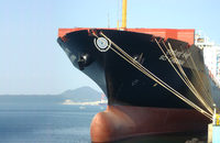 Shipping Corporation of India, a ship of which is pictured, and Shreyas Shipping and Logistics blamed weak demand and freight rates for their first-quarter peformances.
