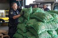 US CBP agent inspecting peppers at Red Hook Terminal, New York.