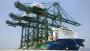 Bharat Mumbai Container Terminals' quay cranes.
