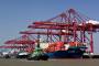Container lines call Indian terminal pricing regulation a ‘trade disruptor’