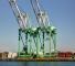 Port of Los Angeles, idle cranes