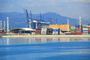 Yantian international container terminal. Photo: lzf / Shutterstock.com