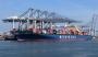 Hyundai Merchant Marine will cooperate with a government emergency response team formed to cope with the fallout of Hanjin Shipping's bankruptcy.