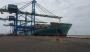 Krishnapatnam Port, pictured, says it can cut a week off transit times for some shippers using Jawaharlal Nehru Port Trust.