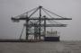Nine more cranes will eventually join those that arrived at PSA's JNPT operation on Friday.