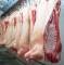 pig carcasses at processing plant