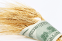 Wheat wrapped in money