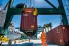 The port of Antwerp-Bruges saw its container throughput decline 11.6 percent in the first quarter as capacity maxed out. Photo credit: Port of Antwerp-Bruges