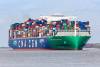 Marine Transport Logistics is seeking $600,000 in damages from CMA CGM as it alleges the carrier has withheld five of its containers since March. Photo credit: Oliver Hoffmann / Shutterstock.com.