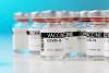 Heightened pandemic-related shipment volumes are expected as pharmaceutical companies target subvariants of COVID-19. Photo credit: Shutterstock.com.