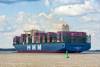 The complaint against HMM and Yang Ming echoes a similar case filed by a home goods importer against Cosco Shipping and MSC in 2021. Photo credit: Shutterstock.com.
