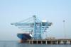 A new CMA CGM joint venture will modernize Nhava Sheva’s own container terminal, the oldest of five facilities in the complex. Photo credit: JNPT