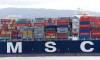 The FMC complaint originally named MSC and COSCO as respondents. COSCO has since settled. Photo credit: Sheila Fitzgerald / Shutterstock.com.