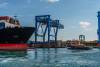 Approximately 2.3 million metric tons of cargo passe through the Conley Container Terminal each year. Photo credit: Heidi Besen / Shutterstock.com.