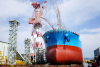 The container ships currently on order comprise almost 30 percent of the total existing fleet capacity. Photo credit: Shutterstock.com.