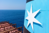 Maersk will need about 6 million tons of green methanol per year to reach its 2030 fleet emissions target. Photo credit: Mariusz Bugno/Shutterstock.com
