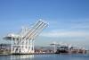 The disruptions in Oakland due to trucker protests have led to an increase in the vessel backlog at the port. Photo credit: Shutterstock.com.