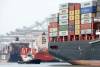 Vessel diversions from Oakland are considered likely if trucker protests continue into next week. Photo caption: Shutterstock.com.