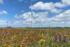 Total US onshore wind energy installations reached 139 GW in the second quarter, with another 23 GW under construction or in advanced development. Photo credit: American Clean Power (ACP).