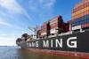 A New York importer alleges Yang Ming failed to provide full contracted capacity, forcing the importer to spend an extra $1.3 million on the spot market. Photo credit: carol.anne/Shutterstock.com.