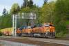 BNSF and UP are metering the inland flow of ocean containers even though their combined intermodal volume is down 5.4 percent over the last six weeks compared with a year ago. Photo credit: Ian Dewar Photography/Shutterstock.com