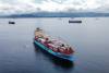 The “Shaheen Express” is designed to feed a slew of Maersk’s global network sailings out of Jebel Ali. Photo credit: Maersk (India).