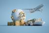 NVOs accounted for 49 percent of the eastbound trans-Pacific market through July, down from 51.4 percent for the full year in 2021. Photo credit: Shutterstock.com.