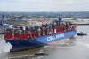 Strong demand, widespread congestion, and highly elevated rate levels continue to lift the financial performance of Cosco Shipping. Photo credit: Shutterstock.com.