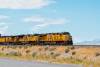 Union Pacific Railroad said it understands there needs to be more intermodal capacity in Lathrop, California, and realigning lanes to Oakland will allow construction work to begin to address the need. Photo credit: Andriy Blokhin/Shutterstock.com